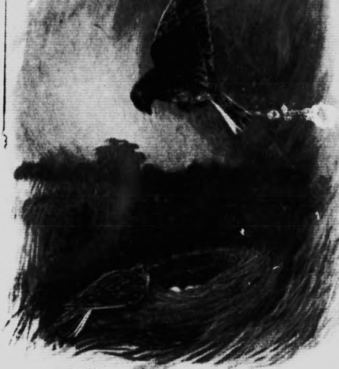 20652873201_c3987f2ef0_o